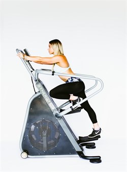 Эргометр климбер Synergy Fitness Power Climber - фото 240975