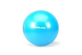 Гимнастический мяч MD Buddy MD1225 65 см